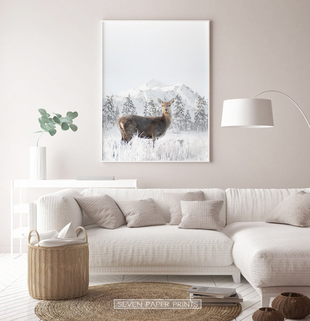 White-framed in the living room with white sofa