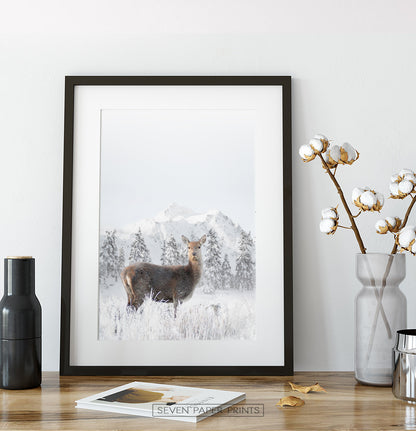 Black-framed on a wooden shelf