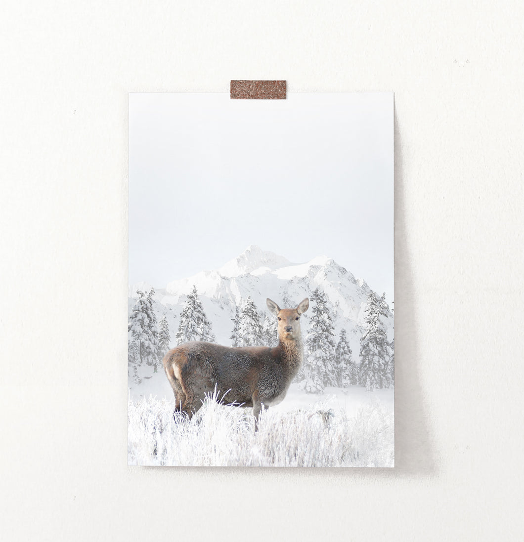 Lovely Deer In Winter Mountains With Spruces Wall Art
