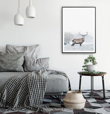 Black-framed in a white&gray bedroom