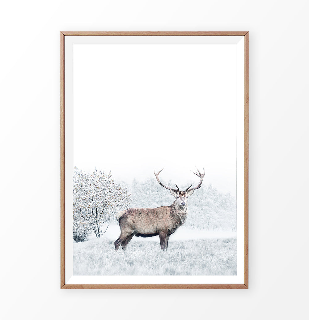 Wooden-framed photo print