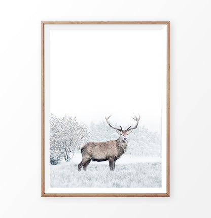 Wooden-framed photo print