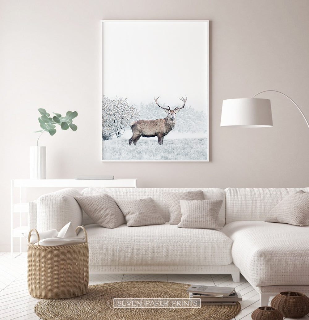 White-framed in the living room with white sofa