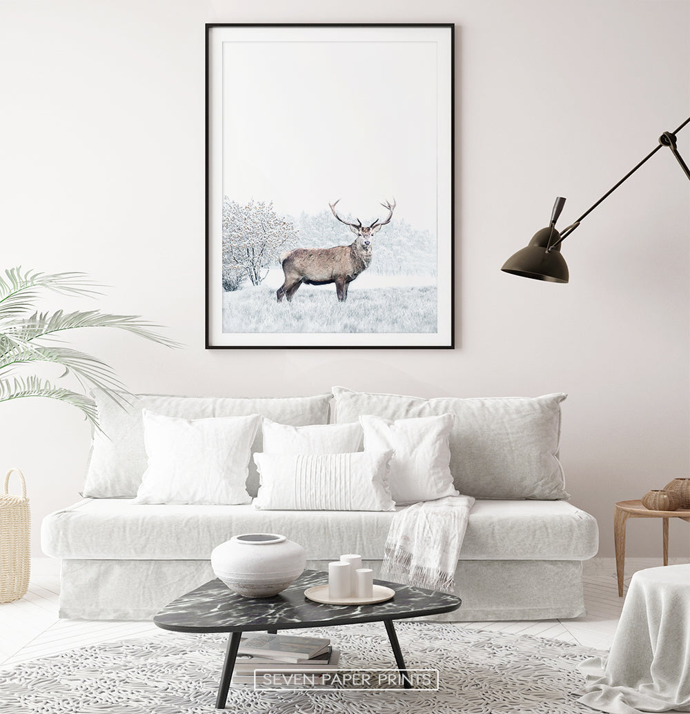 Black-framed with white sofa