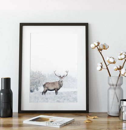 Black-framed on a wooden shelf