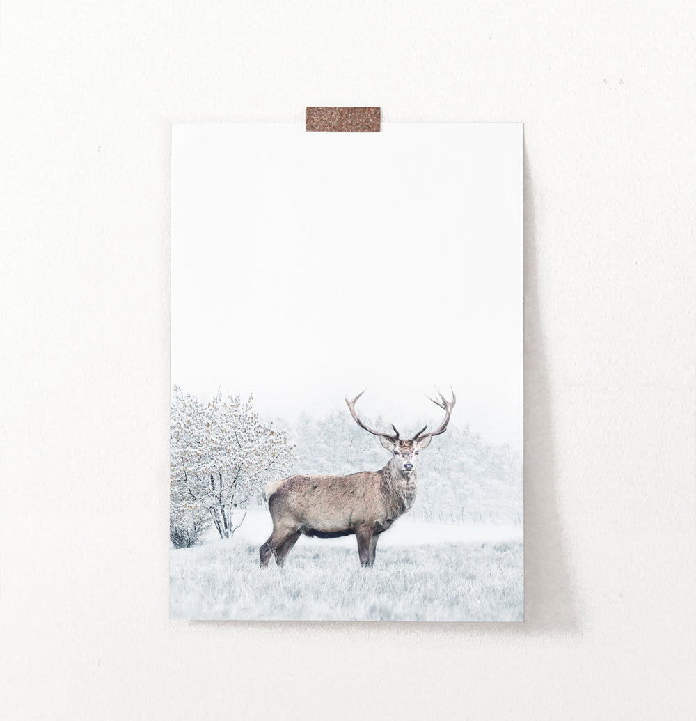 Great Alpha Male Deer On Snowy Background Wall Art