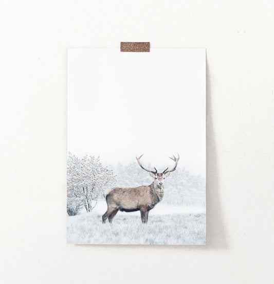 Great Alpha Male Deer On Snowy Background Wall Art