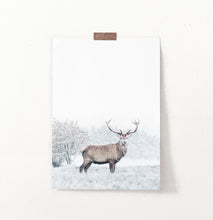 Load image into Gallery viewer, Great Alpha Male Deer On Snowy Background Wall Art
