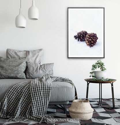 Pine Cones On Snow Macro Photo Wall Art