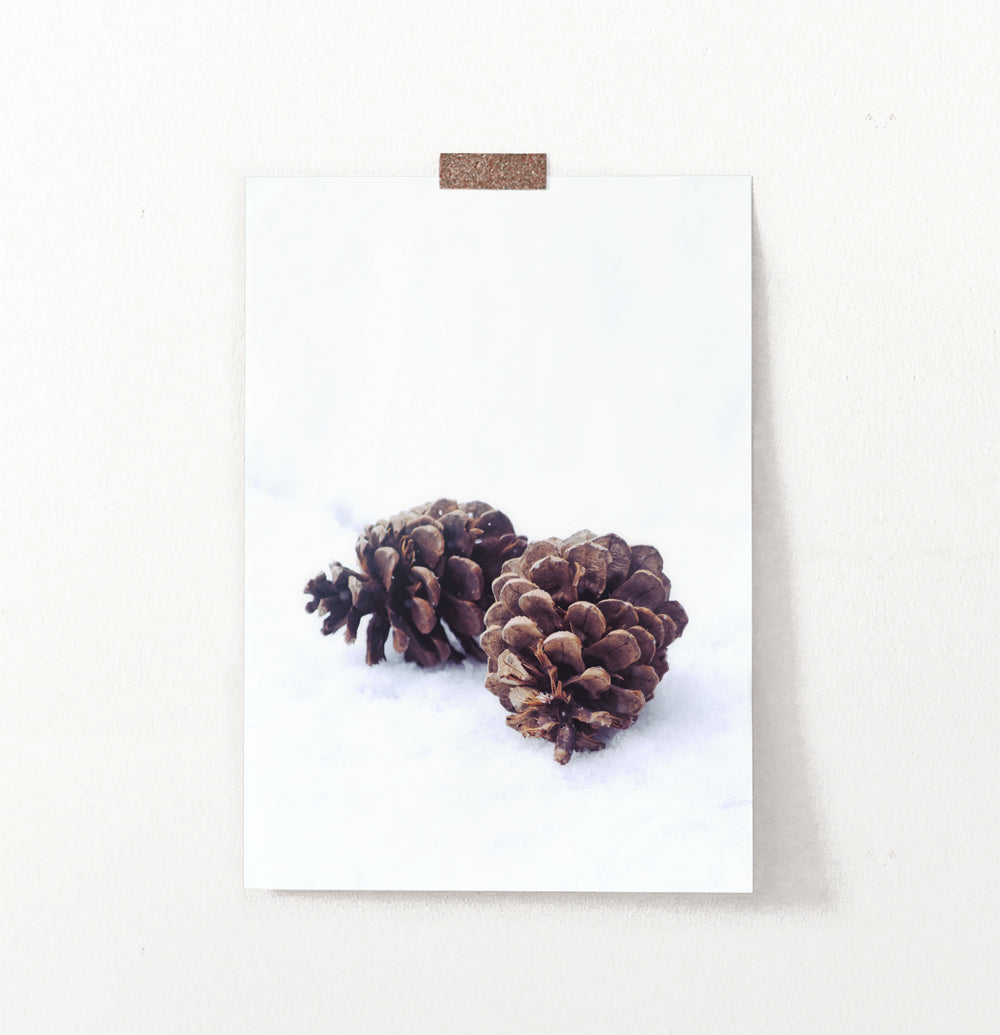 Pine Cones On Snow Macro Photo Wall Art