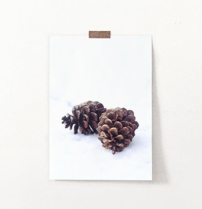Pine Cones On Snow Macro Photo Wall Art