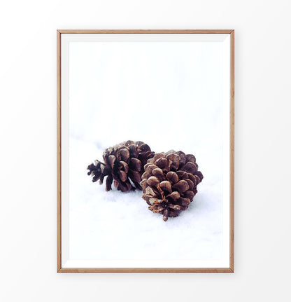 Pine Cones On Snow Macro Photo Wall Art