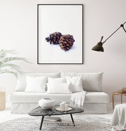 Pine Cones On Snow Macro Photo Wall Art