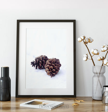 Pine Cones On Snow Macro Photo Wall Art