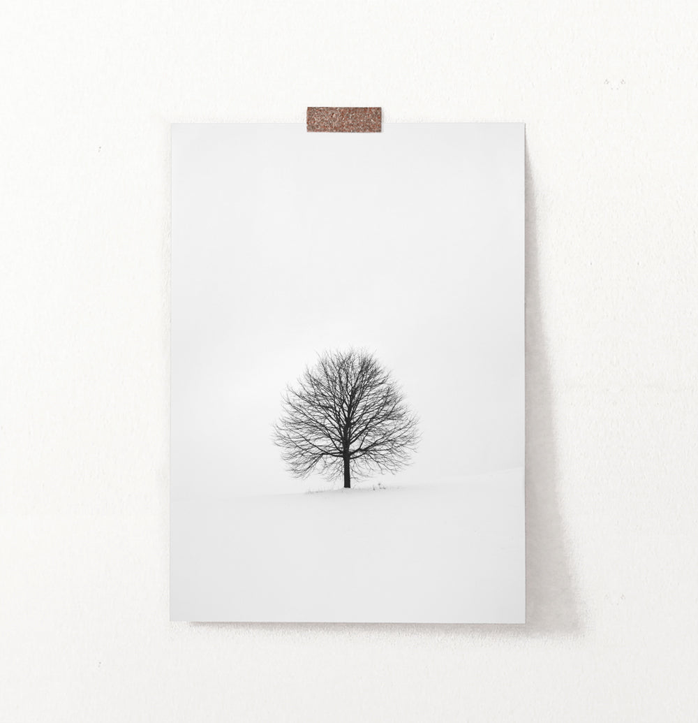 Tree On Snowy Field Black And White Photo Art