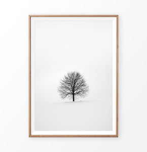 Tree On Snowy Field Black And White Photo Art