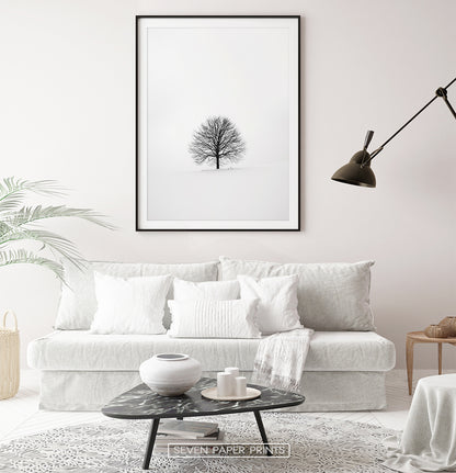 Tree On Snowy Field Black And White Photo Art