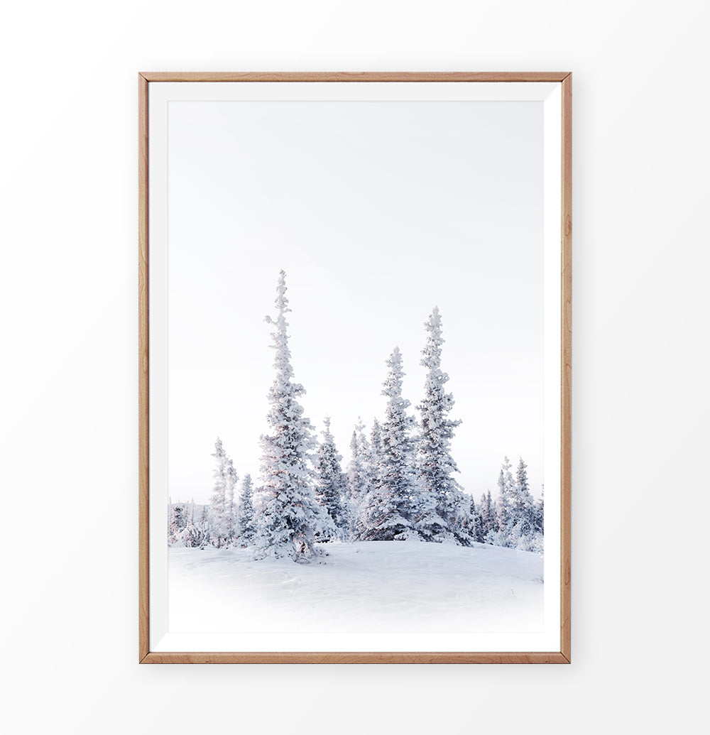 Wooden-framed photo print