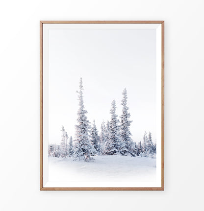 Wooden-framed photo print