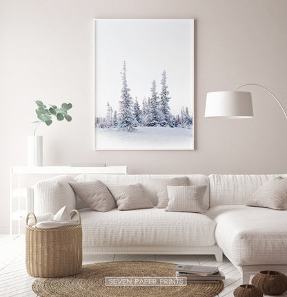 White-framed in the living room with white sofa
