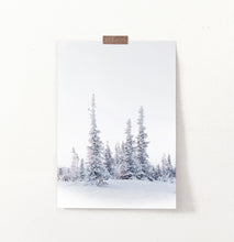 Load image into Gallery viewer, Small Grove Of Snowy Winter Spruces Wall Art
