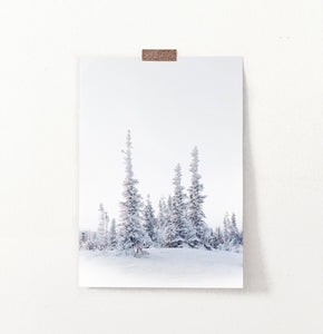 Small Grove Of Snowy Winter Spruces Wall Art