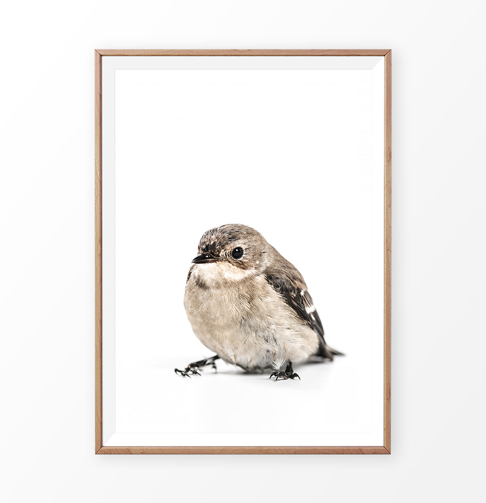 Wooden-framed photo print