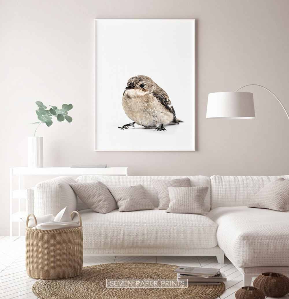 White-framed in the living room with white sofa