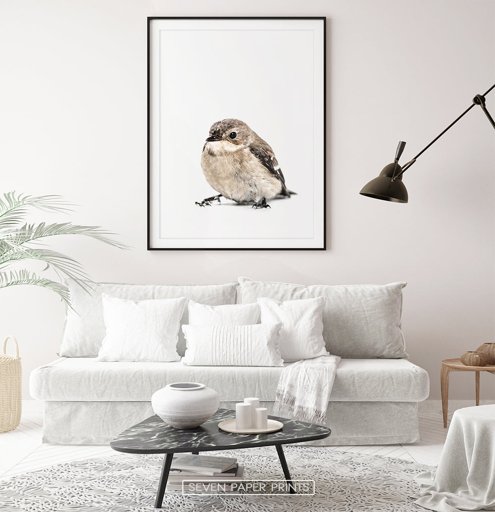 Black-framed with white sofa