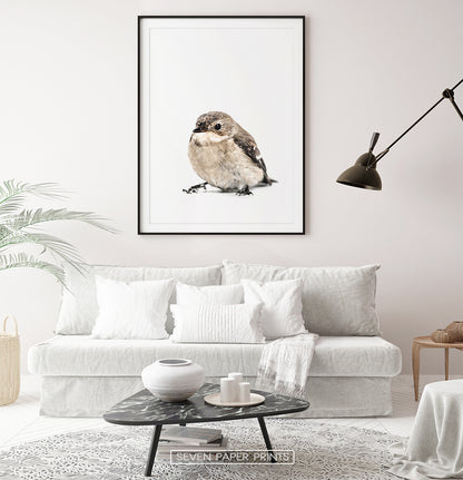 Black-framed with white sofa