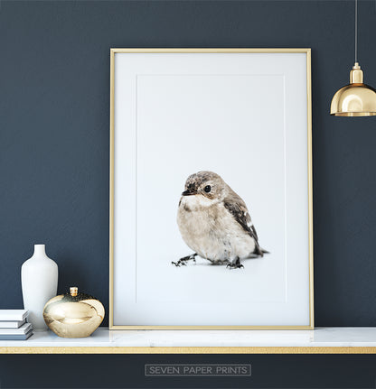 Golden-framed on a white marble shelf