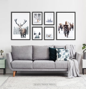 Set of 6 Framed Winter Prints with Animals and Snowy Nature