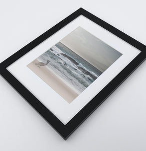 A framed print with a pelican on a coast