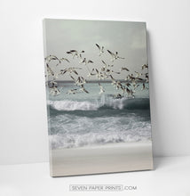 Load image into Gallery viewer, A stretched canvas of an ocean shore with seagulls
