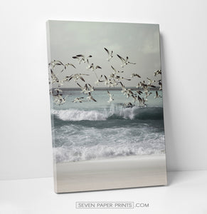 A stretched canvas of an ocean shore with seagulls