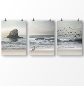 Seagulls, beach photography, ocean waves, 3 piece wall art