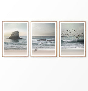 Sea Shore Photography Set of 3 Prints