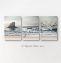 Load image into Gallery viewer, Three stretched canvases of ocean shore with cliffs, seagulls and a pelican
