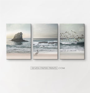 Three stretched canvases of ocean shore with cliffs, seagulls and a pelican