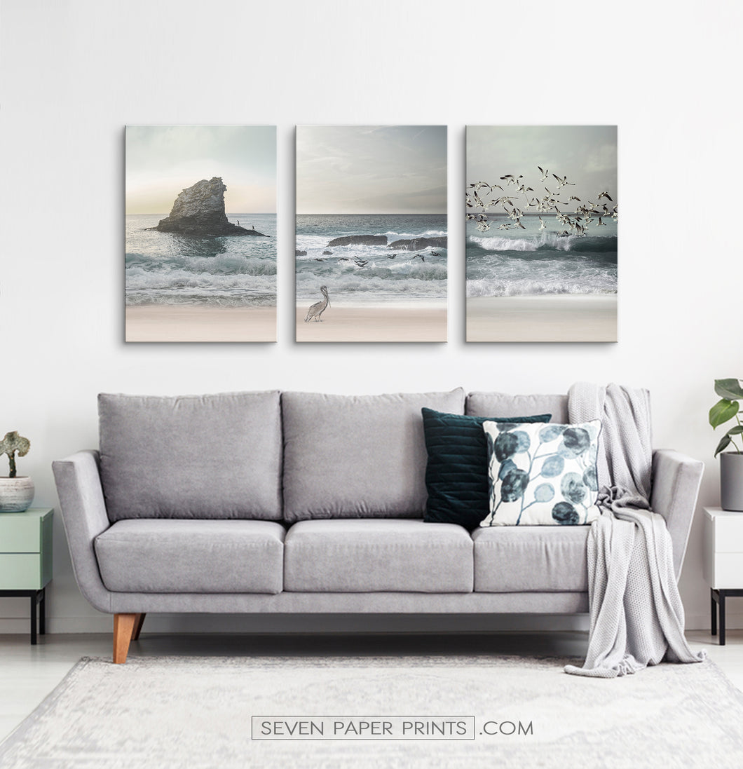 Three stretched canvases of ocean shore with cliffs, seagulls and a pelican