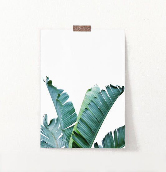 Banana Leaf Botanical Wall Art