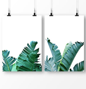 Tropical plant decor, banana leaf prints, green leaves, botanical prints