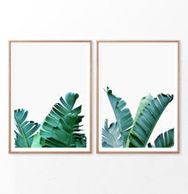 Load image into Gallery viewer, Green Banana Palm Leaf Set of 2 Prints
