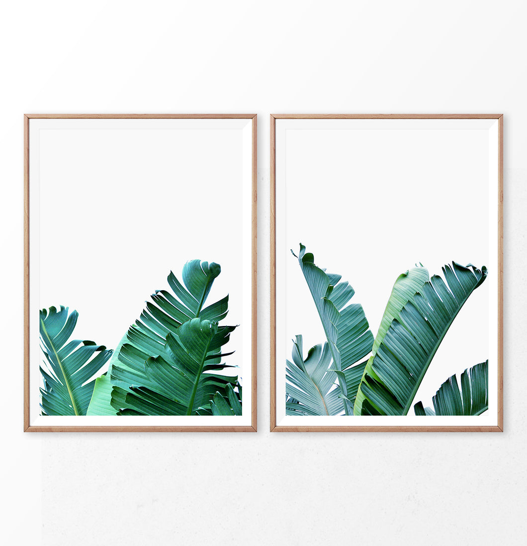 Green Banana Palm Leaf Set of 2 Prints