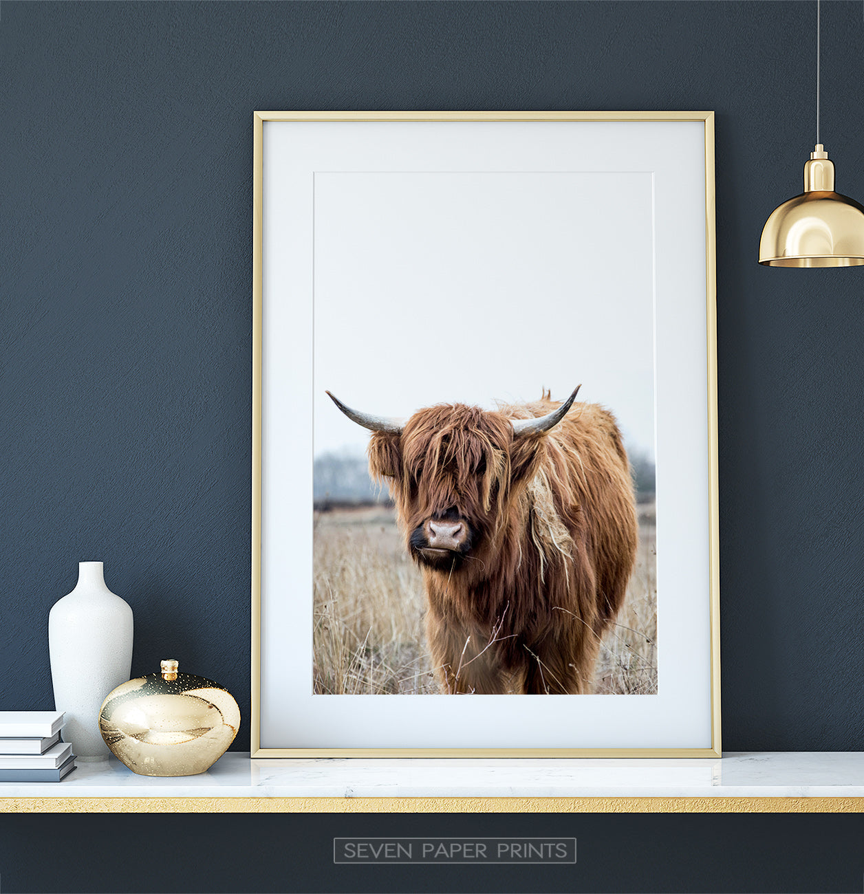 Highland Cow Photography, Bull Farmhouse Decor