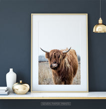Load image into Gallery viewer, Highland Cow Photography, Bull Farmhouse Decor
