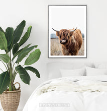 Load image into Gallery viewer, Highland Cow Photography, Bull Farmhouse Decor
