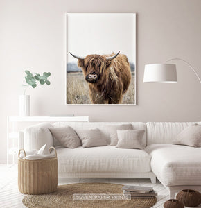 Bull Photography Wall Art
