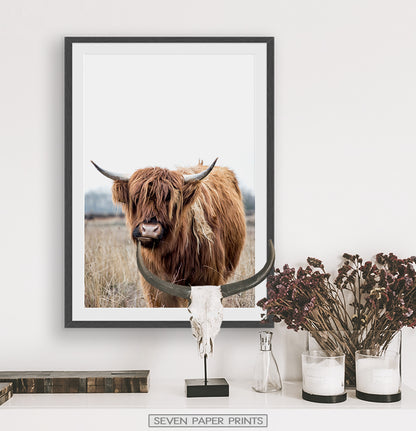 Highland Cow Photography, Bull Farmhouse Decor