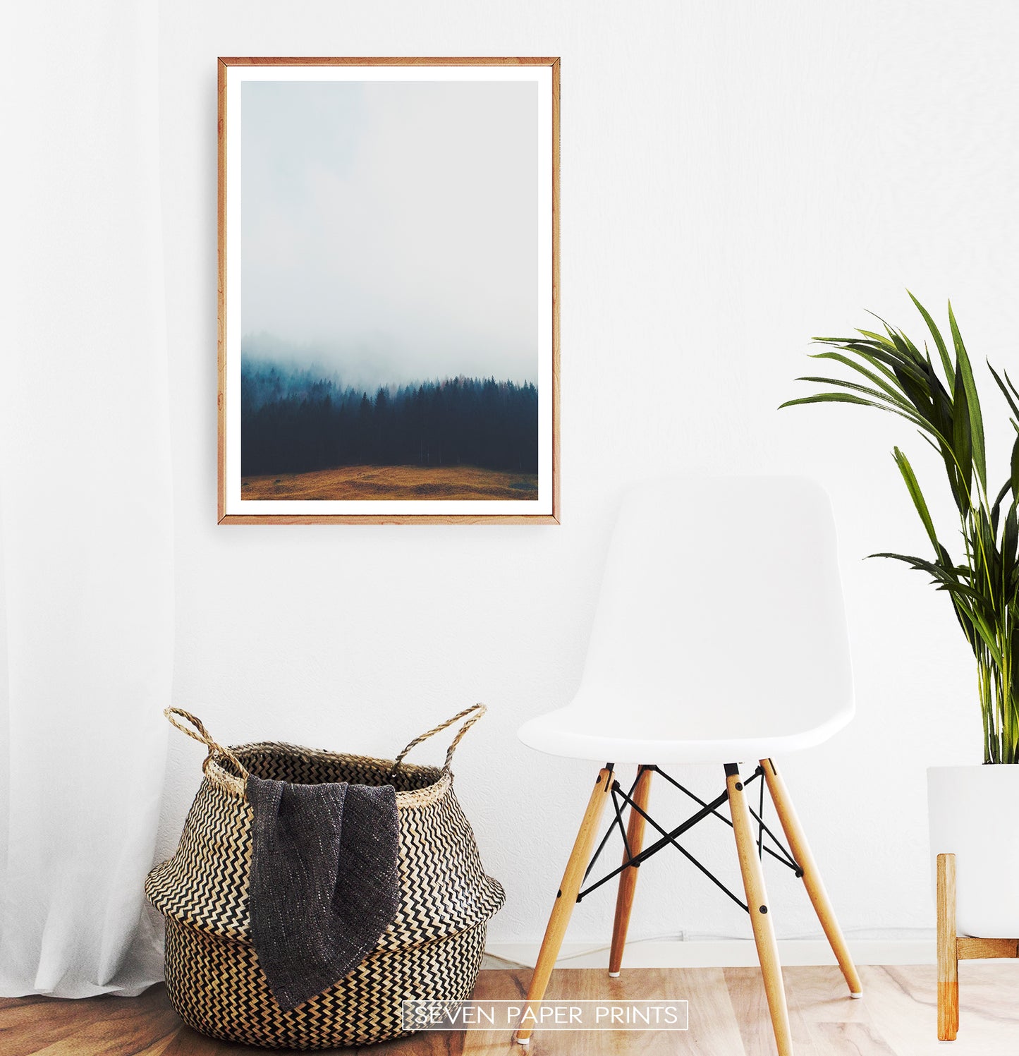 Foggy Pine Forest On Sandy Earth Photo Print